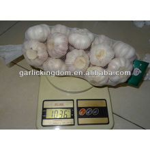 1000g d&#39;ail chinois blanc de JInxiang 5.5cm